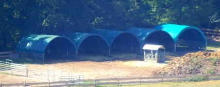 Покрив за едър рогат добитък, размер 6 х 6 m