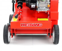 Vertikulátor Weibang WB 384 RC