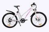 Електрически велосипед Isabel II 12Ah